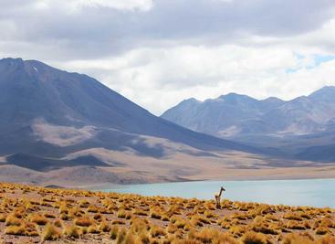 Python闭包原理与nonlocal关键字：从概念到实战