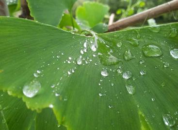 Windows配置apache支持cgi