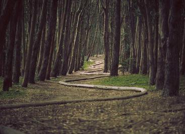 frp 是一个专注于内网穿透