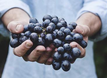 数据库性能实测：Docker 开销、连接方式、MySQL vs PostgreSQL 全面对比