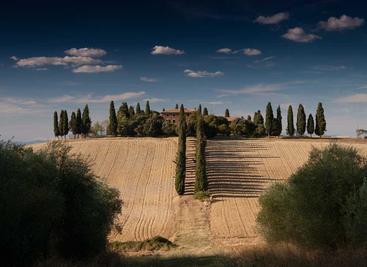 一套企业级 UI 设计语言和 React 组件库。