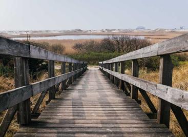 数据库性能实测：Docker 开销、连接方式、MySQL vs PostgreSQL 全面对比